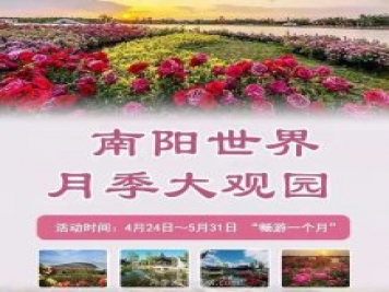 第十二届南阳月季花会4月29日开幕，活动丰富多彩