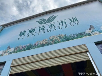 鄢陵县花木产业未必能想到的那些问题