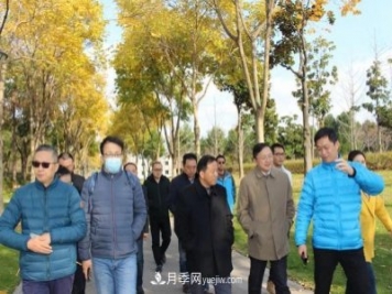 提升城市园林绿化，苏州向上海学什么？
